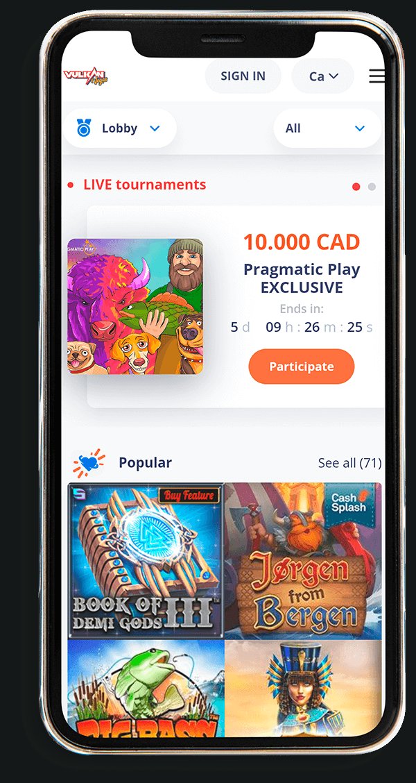 Les stratégies gagnantes pour les machines à sous sur Vulkan Vegas - aperçu