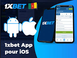 Игровой зал 1XBet